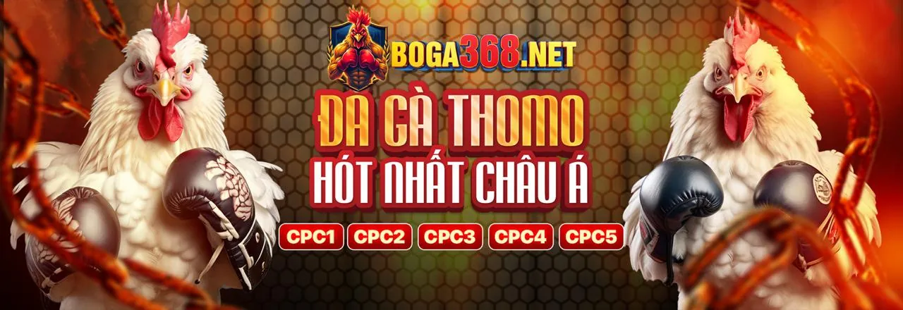 Chương trình Đối tác f8bet io