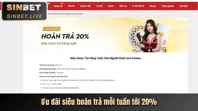 Hoàn trả thể thao f8bet io